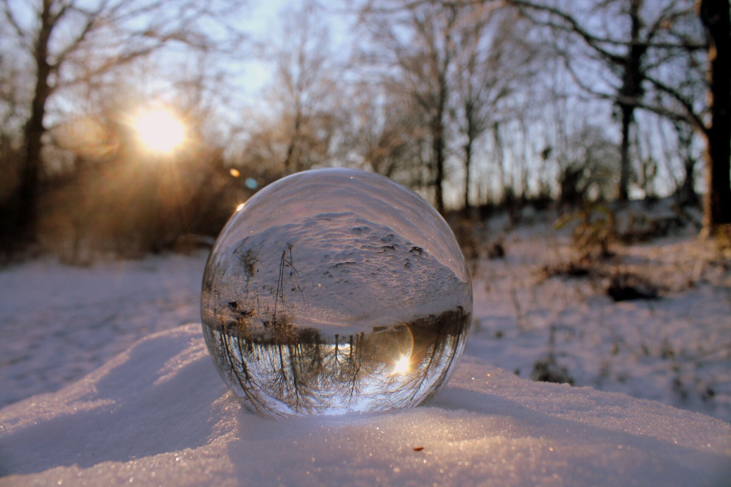 I took this photo at my favorite park in my hometown. It is hidden just around the corner of my house and not many people know about it. I took so many pictures in this park that I wanted to try a different point of view. Thanks to this glass sphere and some fresh snow, it  was a whole new experience. #snow #magical #discover #SnowPhotoContest