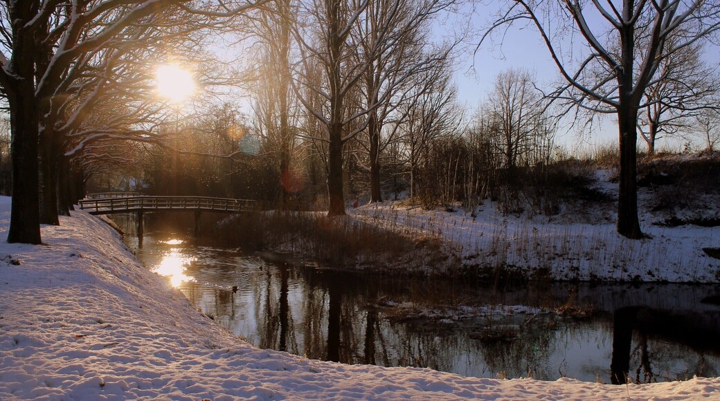 I took this photo at my favorite park in my hometown. It is hidden just around the corner of my house and not many people know about it. I took so many pictures in this park that I wanted to try a different point of view. Thanks to the fresh snow and the bright sun, it was a whole new experience. #snow #magical #discover #SnowPhotoContest