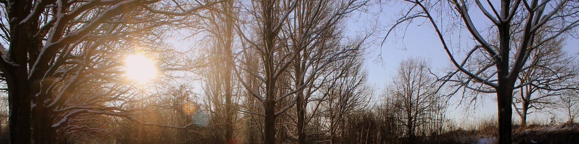 I took this photo at my favorite park in my hometown. It is hidden just around the corner of my house and not many people know about it. I took so many pictures in this park that I wanted to try a different point of view. Thanks to the fresh snow and the bright sun, it was a whole new experience. #snow #magical #discover #SnowPhotoContest