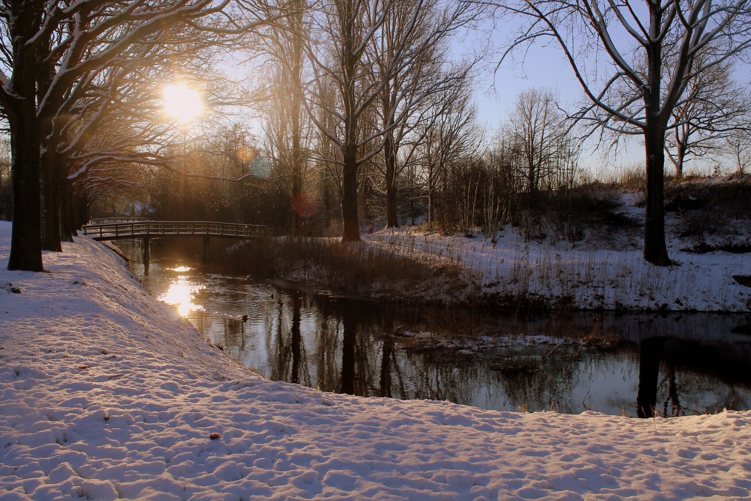 A snow-covered path beside a calm river with a bridge in the background and trees reflecting the sunlight.