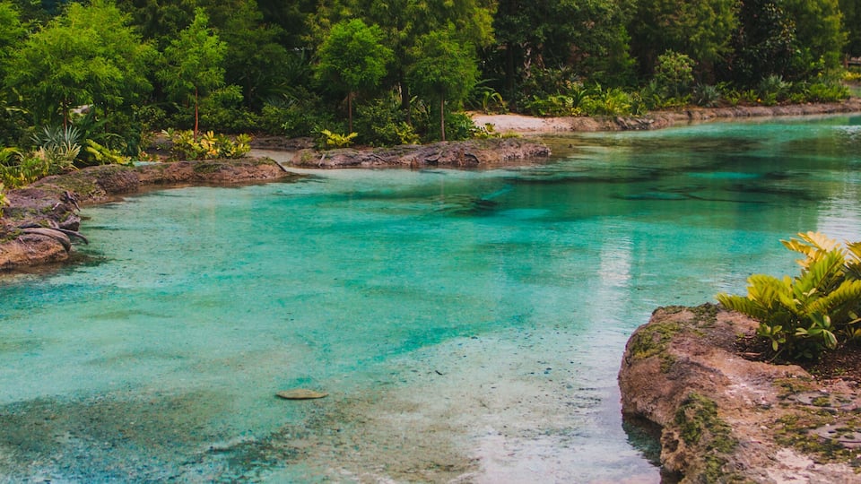 beautiful stream of blue water from a natural spring in Orlando Florida stock photo