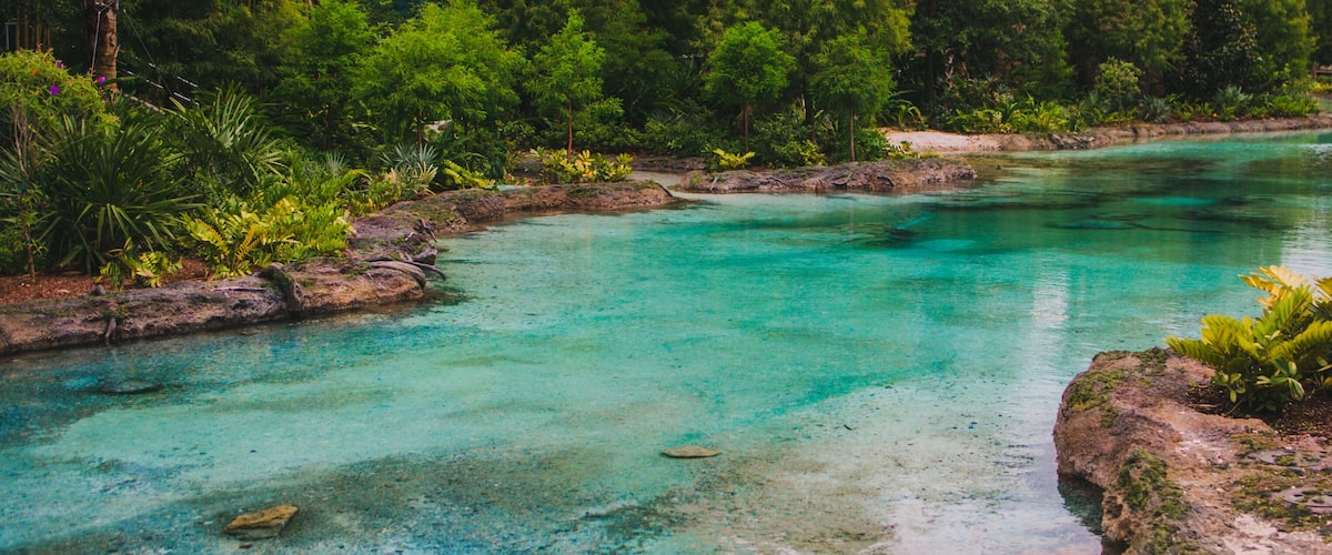 beautiful stream of blue water from a natural spring in Orlando Florida stock photo