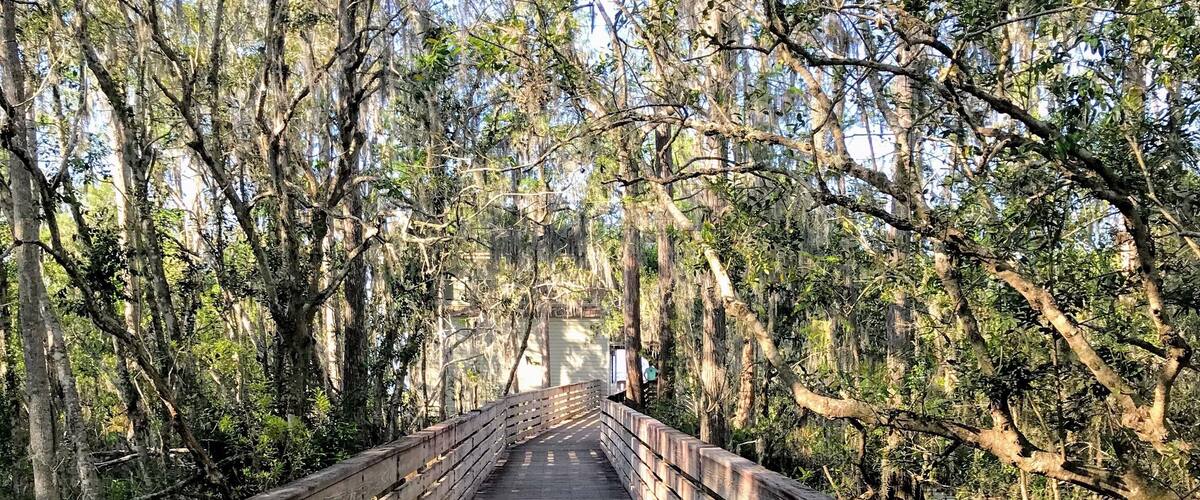 Lake Louisa park in Clermont Fl