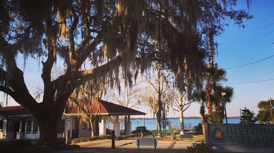 Beautiful day for a walk by the lake.