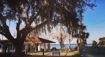 Beautiful day for a walk by the lake.