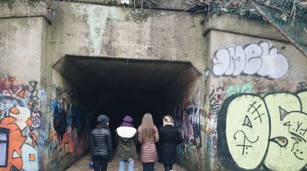 The gates of hell, located in califon New Jersey, is a haunted sewer tunnel system with legends of supernatural sightings and apparently a gateway to the devil himself. #weirdnj #haunted #evil #tunnel #scary