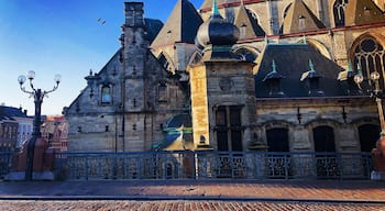 #trovember
#belgium
#architecture