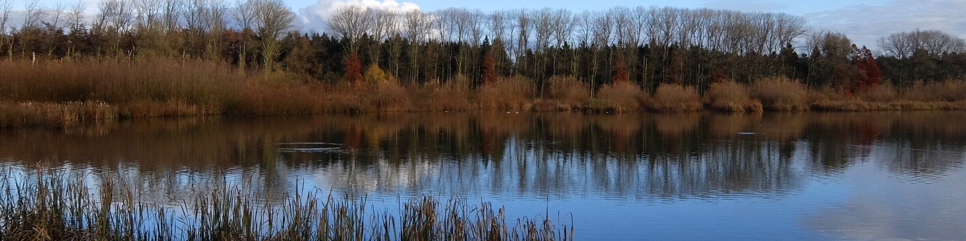 The Bourgoyen are well known among locals to go for a walk and enjoy nature. We go regularly to breathe in the fresh air.
