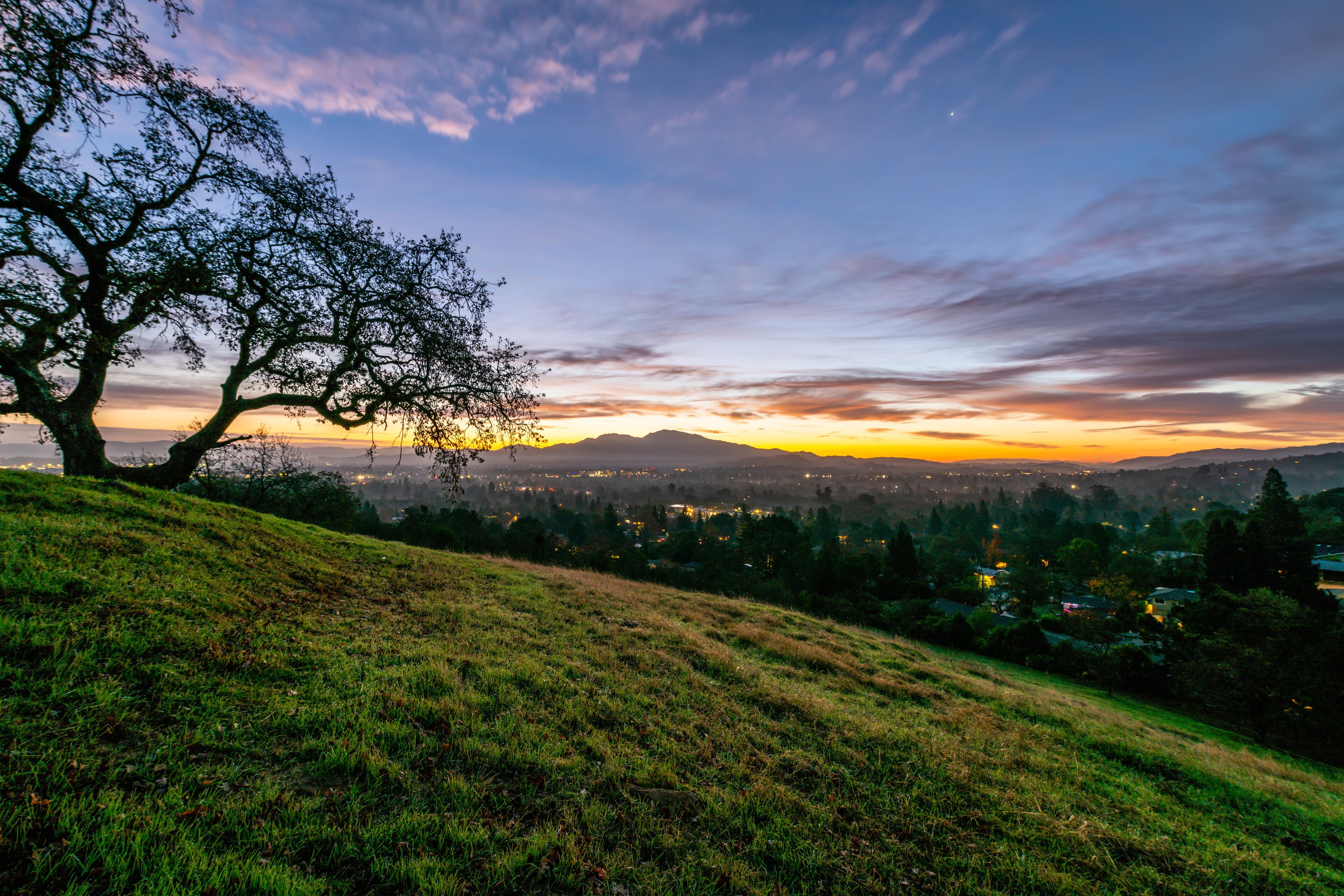 Dinosaur Hill Park at Dawn 