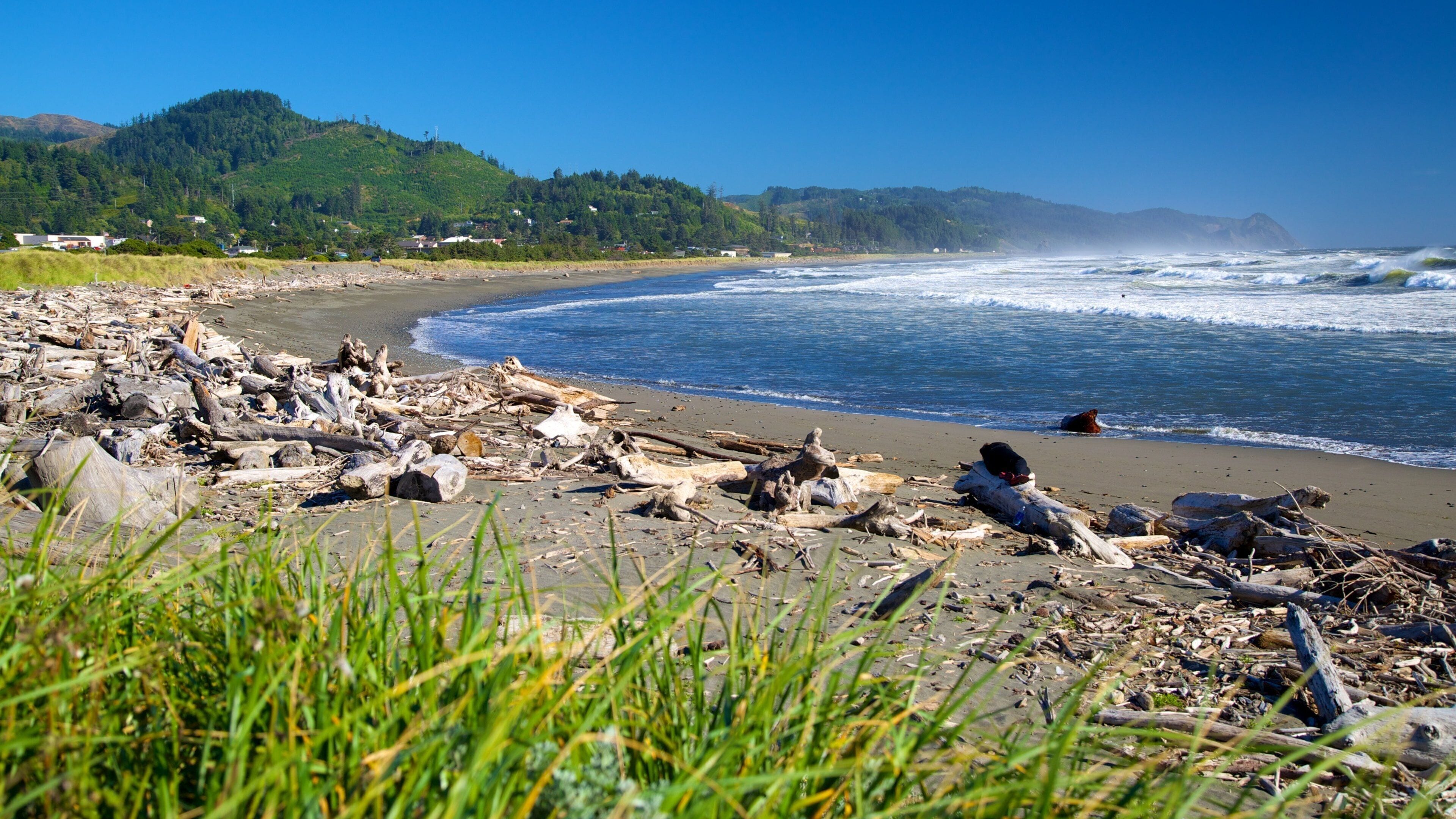 Gold Beach which includes a beach