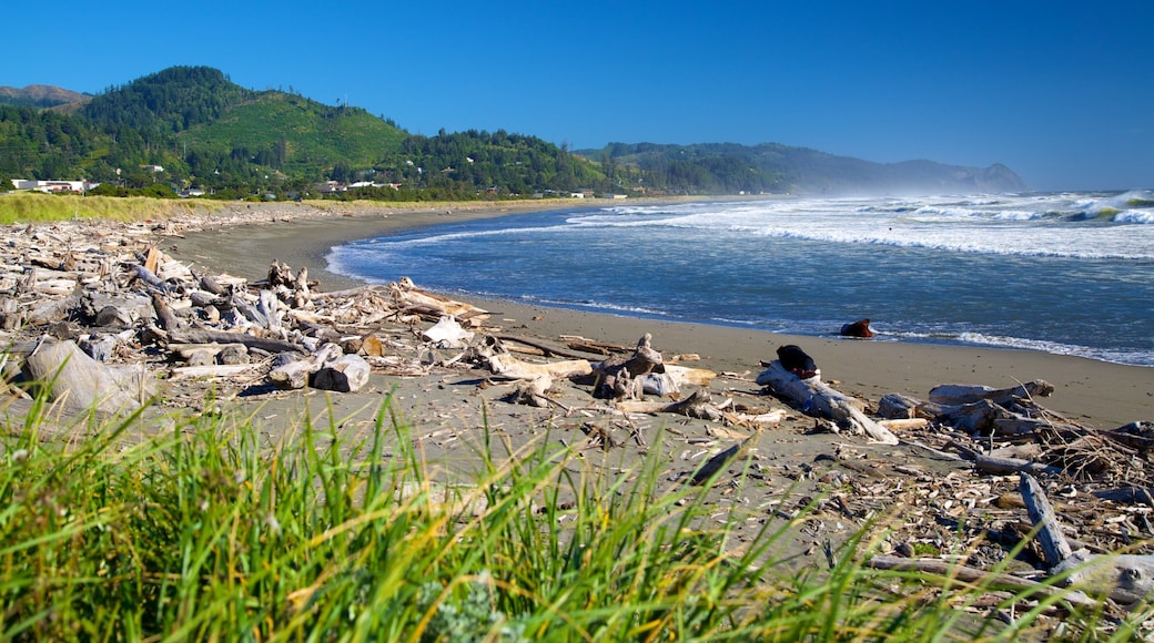 Gold Beach which includes a beach