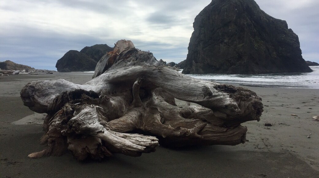It’s lovely day for a walk on the beach.