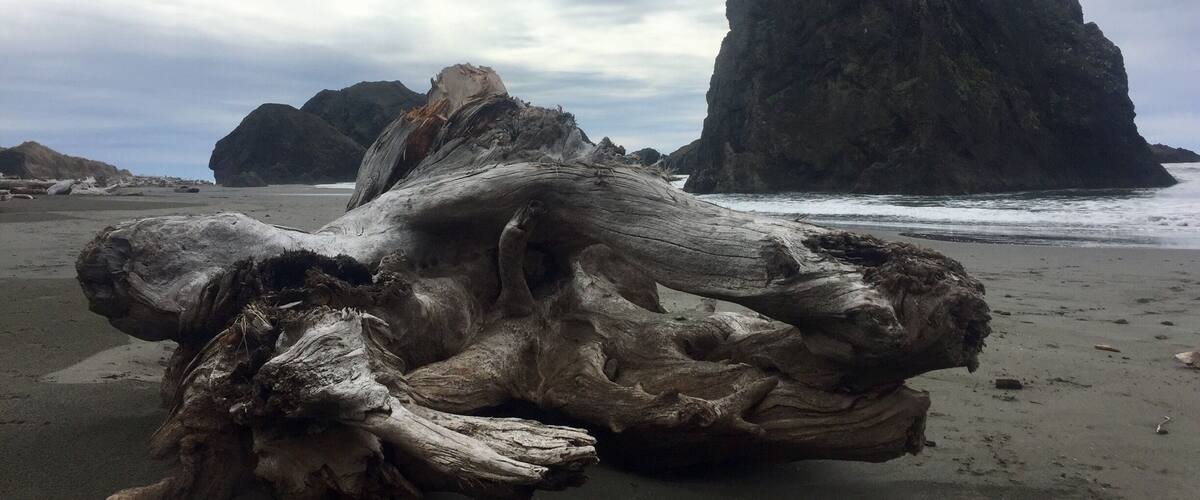 It’s lovely day for a walk on the beach.