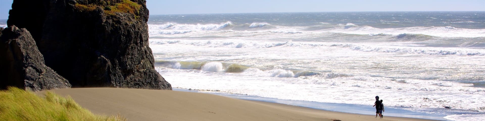 Gold Beach which includes a sandy beach