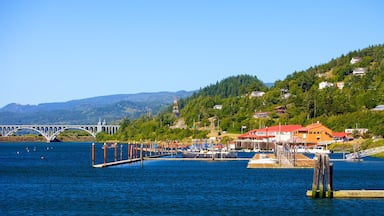 Gold Beach showing a marina