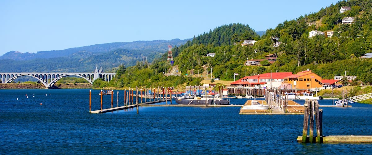 A lake with a bridge, dock, and houses on a hillside.