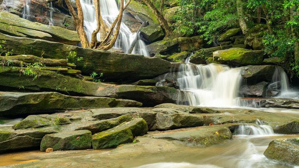 A waterfall cascading over moss-covered rocks in a forested area.