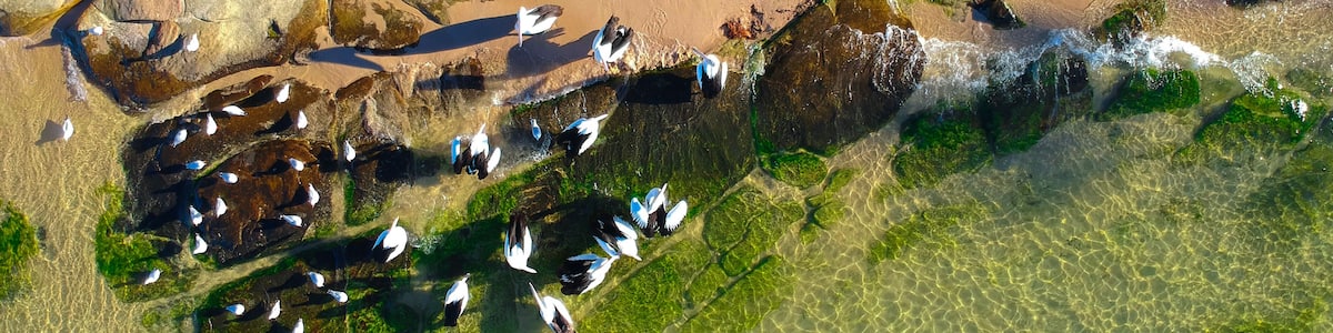 A coastal area with clear water, rocks, and a sandy beach.