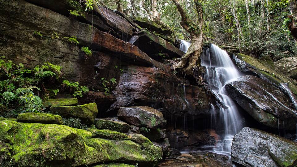 A waterfall cascading over moss-covered rocks in a forested area.