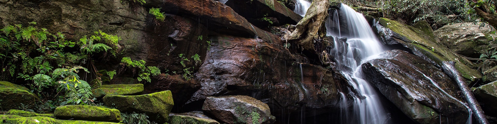 Somersby Falls - a beautiful waterfall on the NSW central coast, Australia