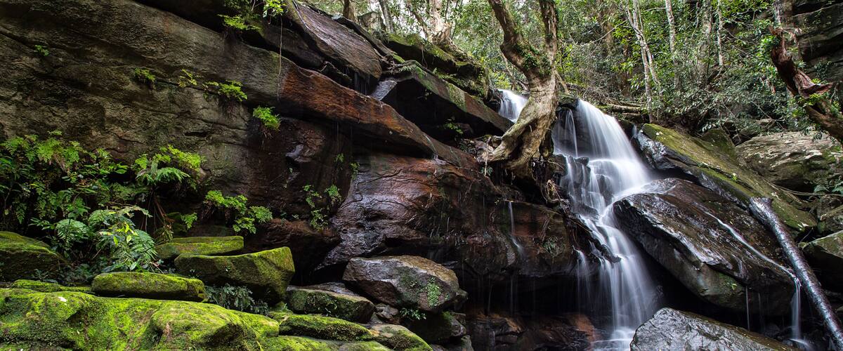 A waterfall cascading over moss-covered rocks in a forested area.