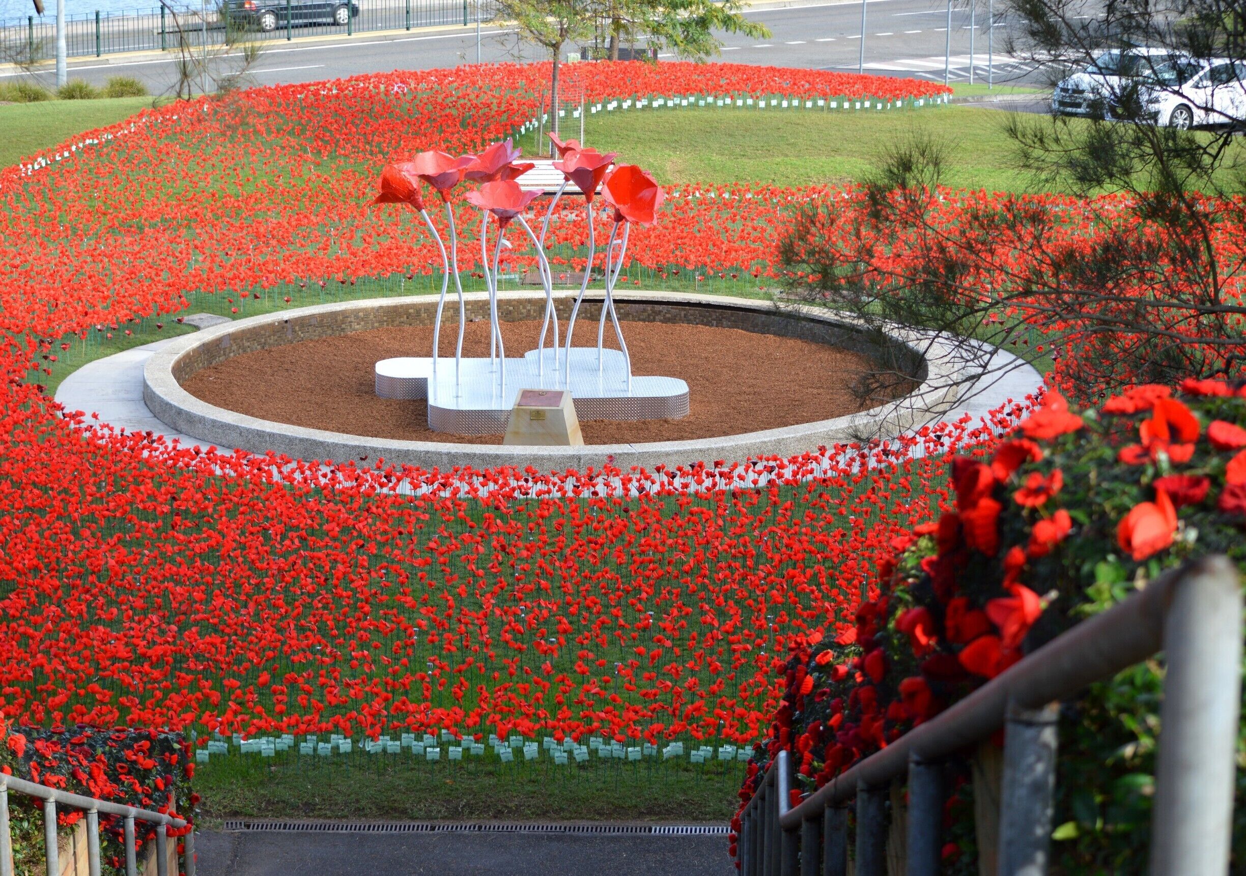 The Waterfront in Gosford is turning red in a sea of poppy's to commemorate our ANZAC's.   On 25 April 2015, Australians and New Zealanders unite as on this day 100 years ago, our troops landed on the shores of Gallipoli in WW1.  This was the turning point of our Nation who is now known to be a strong and independent nation in the worlds eye.  
Lest we forget.