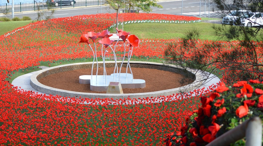 The Waterfront in Gosford is turning red in a sea of poppy's to commemorate our ANZAC's. On 25 April 2015, Australians and New Zealanders unite as on this day 100 years ago, our troops landed on the shores of Gallipoli in WW1. This was the turning point of our Nation who is now known to be a strong and independent nation in the worlds eye.
Lest we forget.