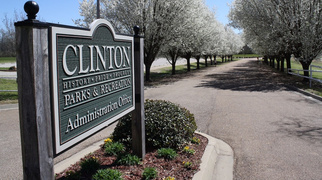 #LOVEMYTOWN. Clinton, Mississippi is especially beautiful in the Spring. The Bradford Pear Trees explode in brilliant white blossoms at the entrance to the Clinton Parks & Recreation Center.