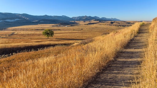 Golden Trail - A golden Autumn evening view of North Table Loop Trail at a foothill valley. Denver-Golden-Arvada, Colorado, USA.