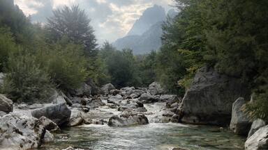 A river flowing through a rocky landscape with dense trees and mountains in the background.