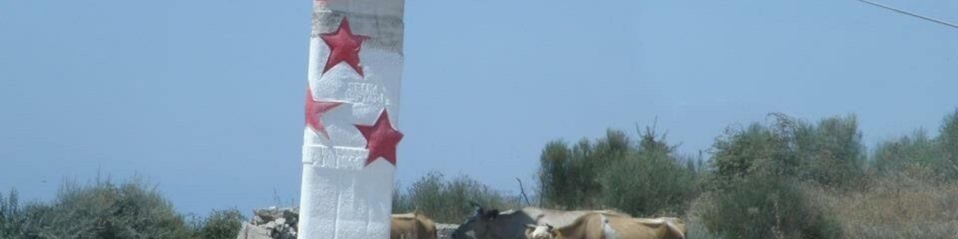 Cows around a monument