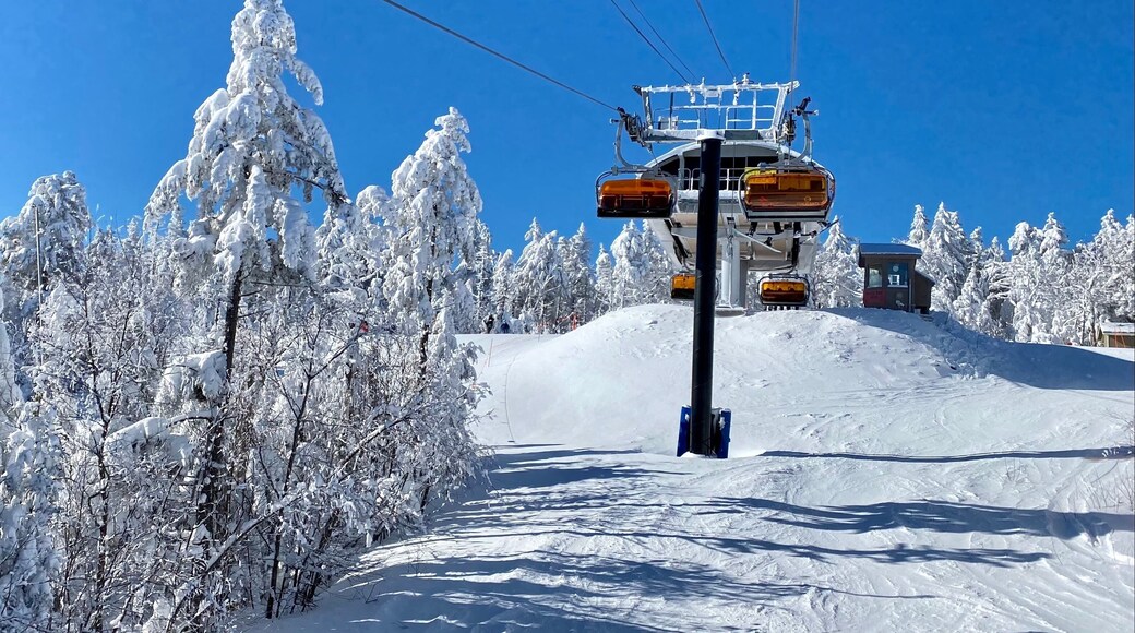 Seasons Ski Lift