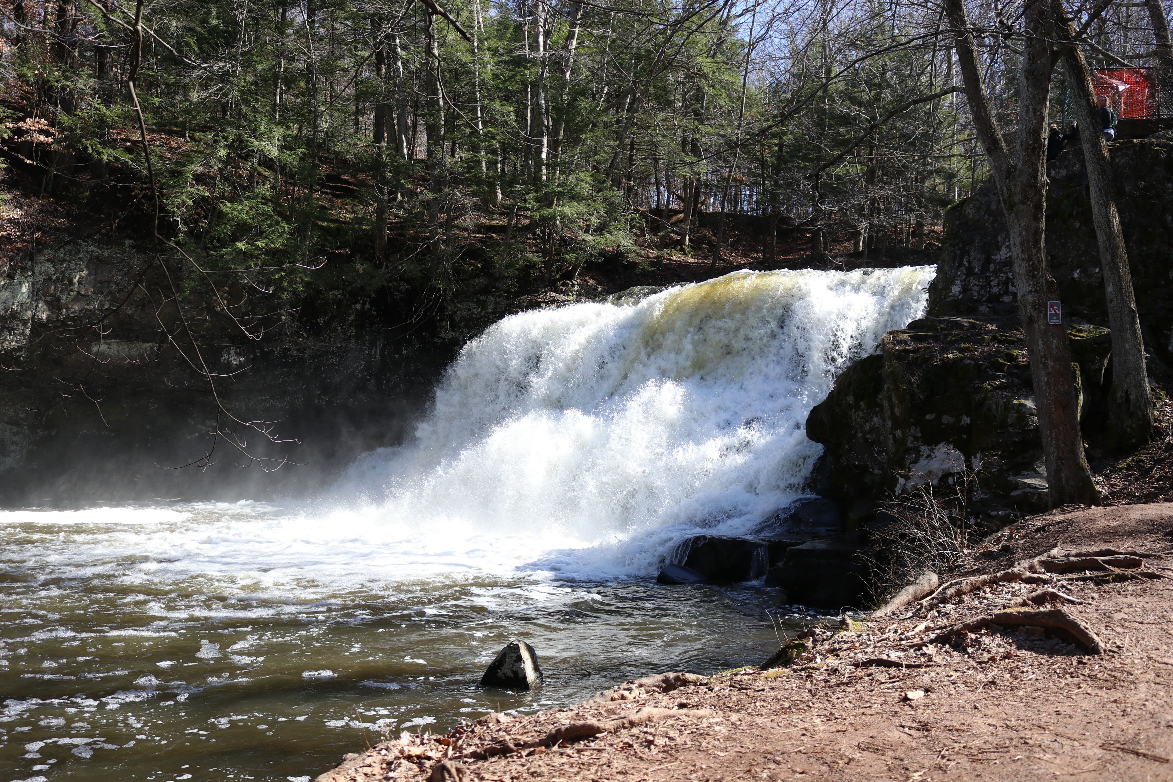 Una cascada en un área boscosa con un primer plano rocoso y árboles densos al fondo.