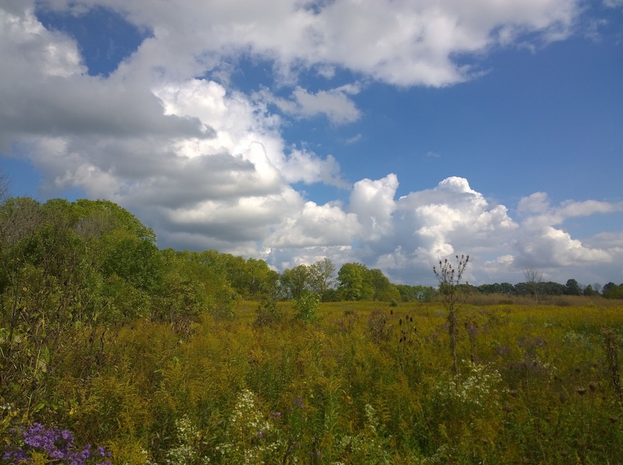 A view from the trail at Gleason family nature preserve in Galion, OH.