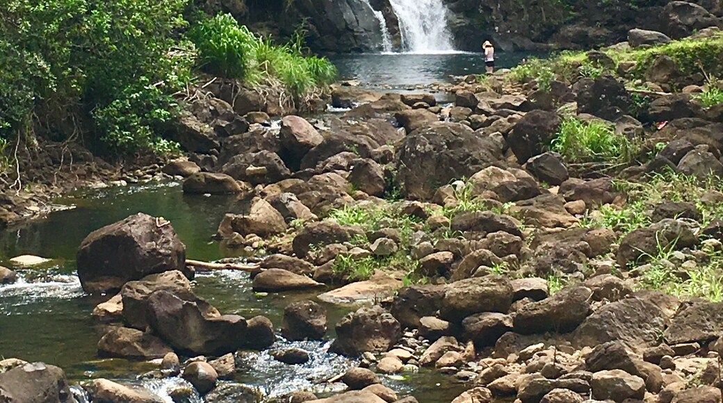 Beautiful and refreshing Waimea falls #nature