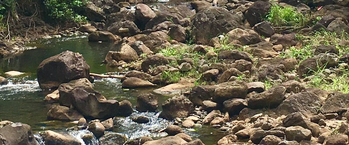 Beautiful and refreshing Waimea falls #nature