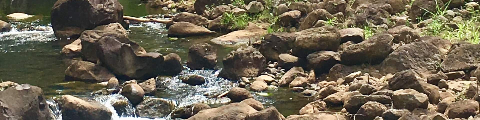 Beautiful and refreshing Waimea falls #nature