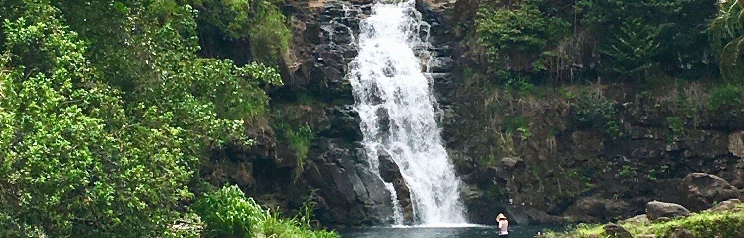 Beautiful and refreshing Waimea falls #nature
