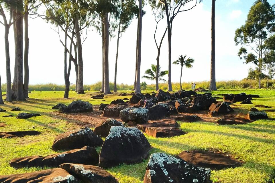 A grassy field with large rocks and tall trees.