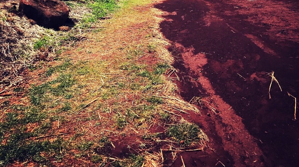 Beautiful scenery but you will track red dirt everywhere after visiting this place. Also, watch out for wild boar!