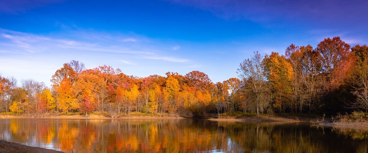 Autumns End is the end of another season as winter approaches