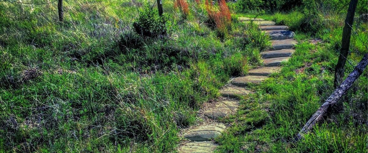 The trail to St. Jacob's Well. An oasis on the Kansas prairie.