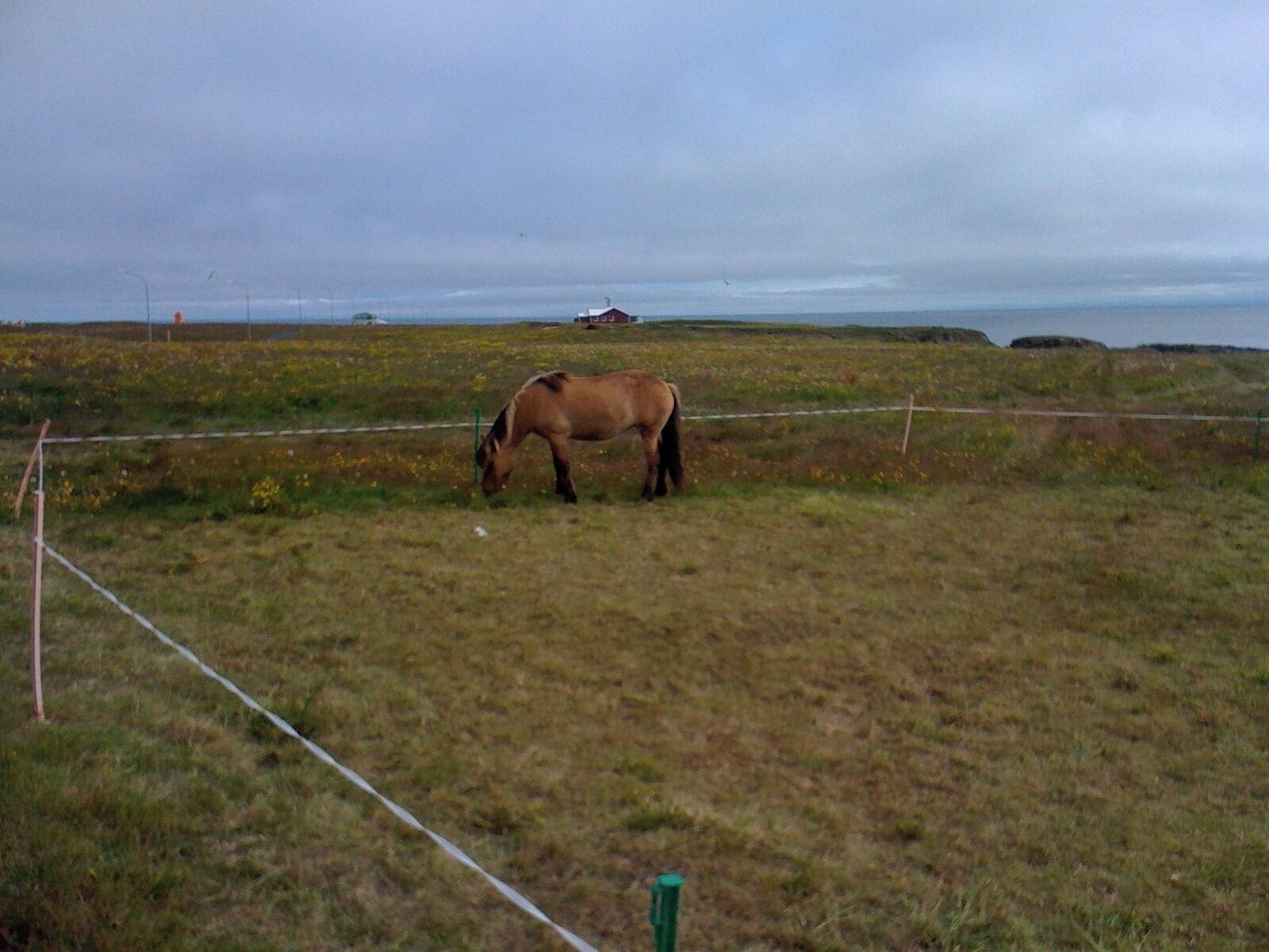 I have been to this Island three times. Nothing beats it for peace and quiet and the thousands of puffin and other birds are amazing. There are no hotels though, only 2 guest houses, although this was a few years ago.

#OrbitzTravel