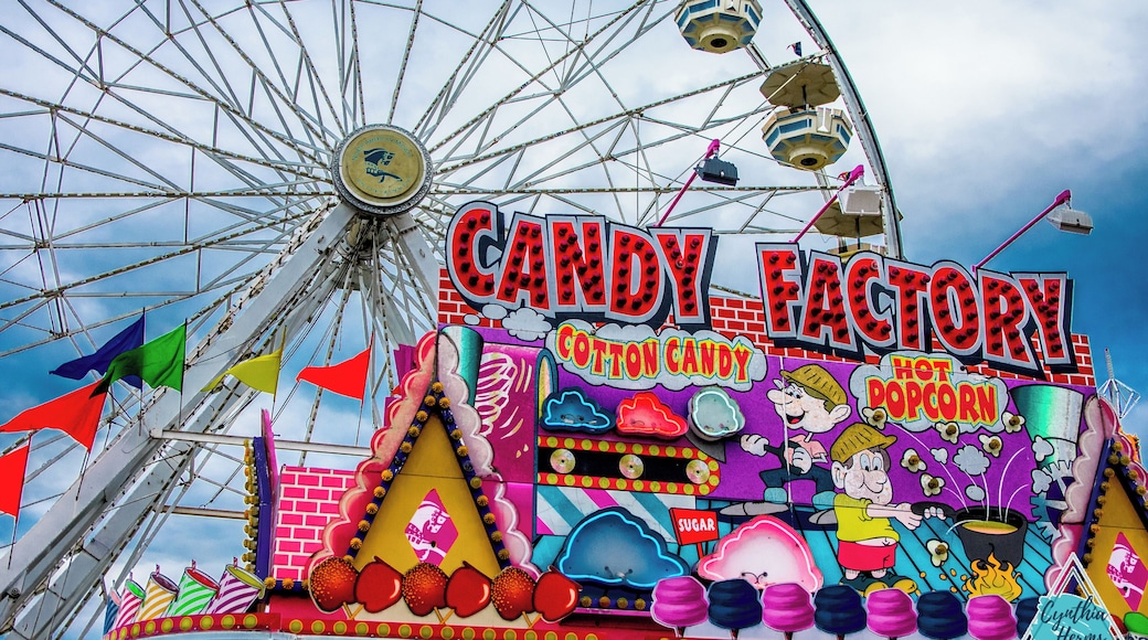 So much to see at the county fair! It's an iconic American institution here in the midwest and one we take very seriously! Animal judging and sales are serious business for midwestern kids who rely on the sale of their winning animals to fund college. But fairs are fun times too with rides and junk food galore. And no fair is as grand as the #ElkhartCo4HFair. Our fair ends this weekend. I am headed back tonight! #LikeALocal #Indiana #LoveElkhartCountyIN #CynthiaHerms
