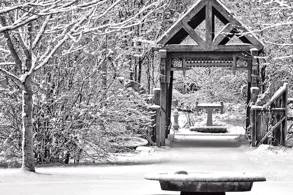 One of best Gardens in the area. Great anytime of the year.