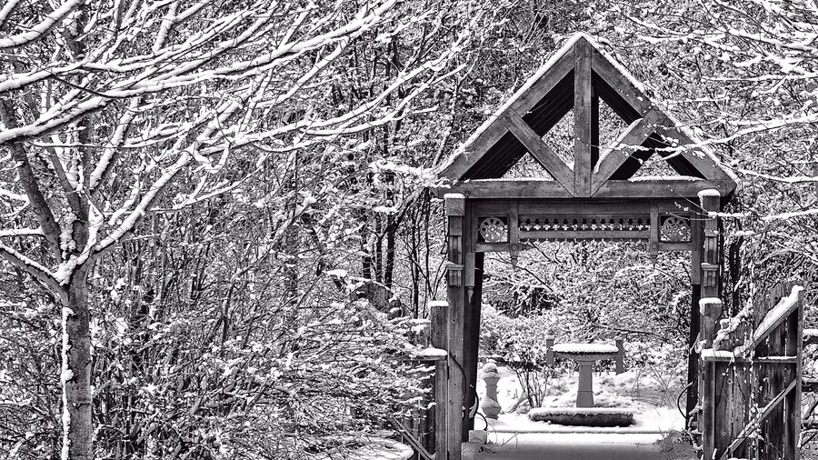 One of best Gardens in the area. Great anytime of the year.