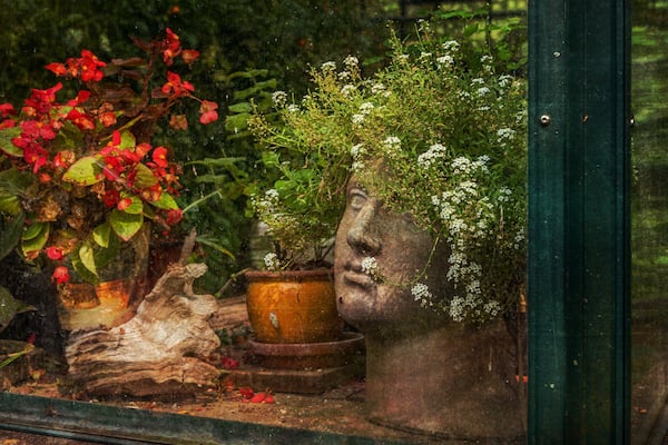 A greenhouse with various potted plants and a stone face sculpture.