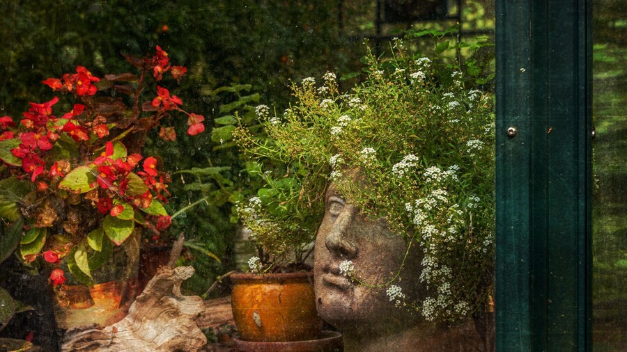 Greenhouse view at DeFries Gardens.