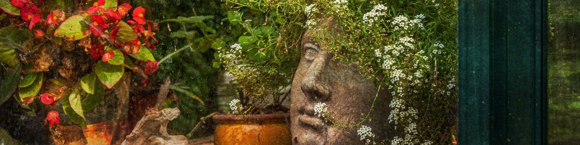 Greenhouse view at DeFries Gardens.