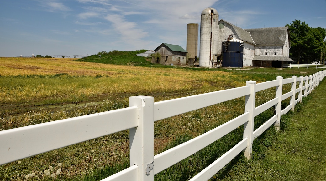 I caught site of this view early in the summer as the fields were just waking up. Now this farm field is filled with corn. But these kind of idyllic scenes are all over the upper midwest where much time and energy is devoted to growing crops. #InElkhartCountyIN #GoodofGoshen #CynthiaHerms